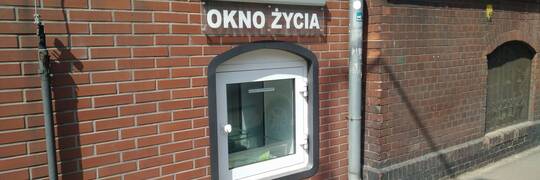 Kolejny głupi żart we wrocławskim Oknie Życia. Tym razem… kot