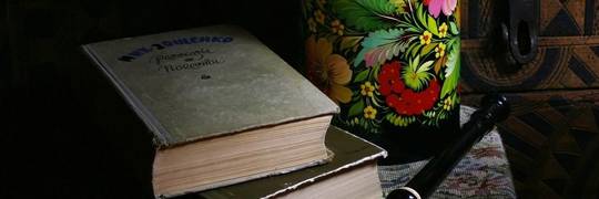 Майстер-клас "Петриківський розпис"