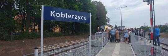 Wybory w Aglomeracji Wrocławskiej: Jak głosowały powiaty spod Wrocławia?