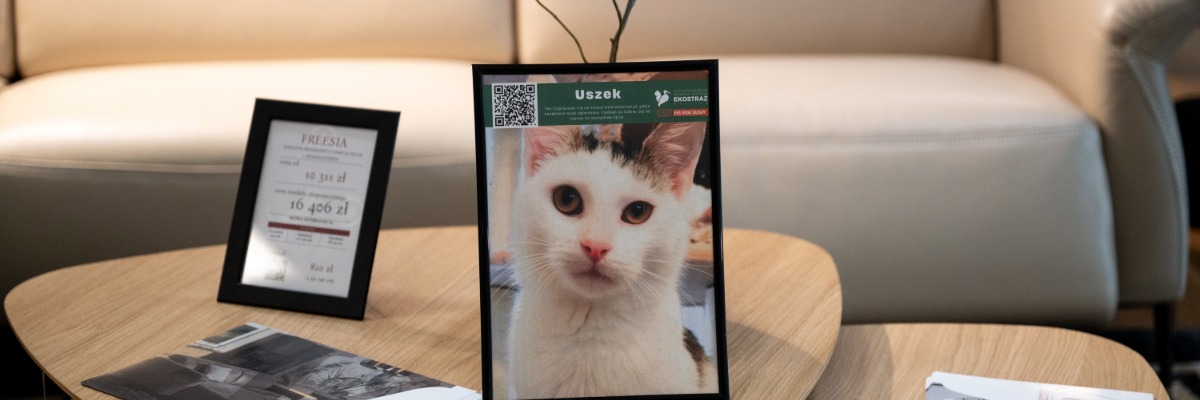 Zdjęcia psów i kotów ozdobiły ekspozycje wrocławskiego sklepu. Mają zachęcać do adopcji