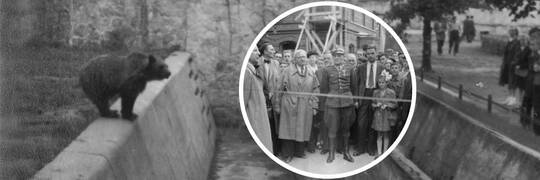 77 lat temu ponownie otwarto zoo we Wrocławiu. Tak ogród wyglądał po wojnie [ZDJĘCIA]