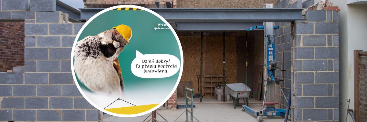 Wrocławski magistrat staje w obronie ptaków i nietoperzy. Program wpłynie na realizację remontów i nowych inwestycji