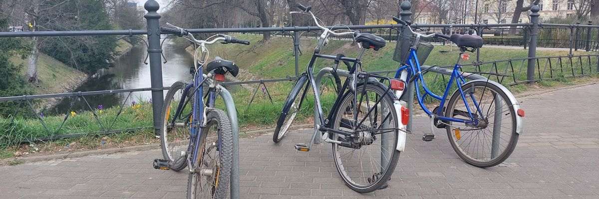 We Wrocławiu rusza pilotażowy program dla uczniów. Dodatkowe punkty za jazdę rowerem i chodzenie