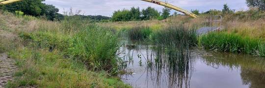 Przekroczenie stanu alarmowego na Slęzie. IMGW ogłosił „pomarańczowy” alert dla Wrocławia