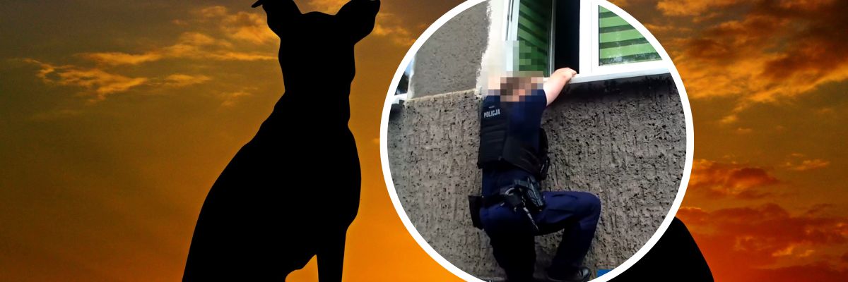 Wrocław: Sąsiedzi zadzwonili na policję, bo 42-latek nie wyszedł z psem. Uratowali mu życie [WIDEO]