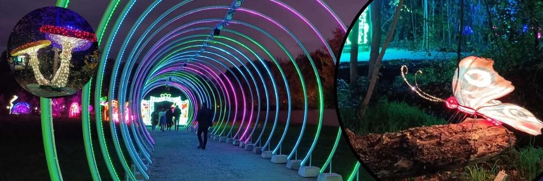 Byliśmy w Lumina Park. Zobacz zdjęcia z tegorocznej edycji parku świateł