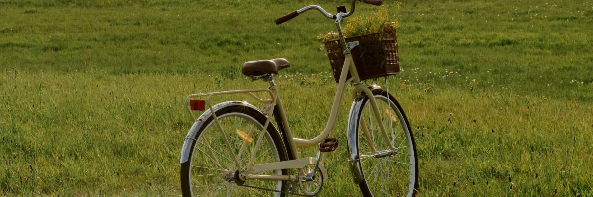 Wrocław dostał 17,5 mln zł na budowę ścieżek rowerowych