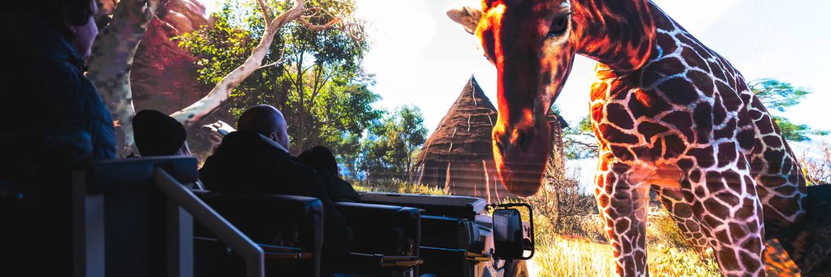 Wrocławskie ZOO ma nową atrakcję. To „ekstremalna podróż po afrykańskim safari”