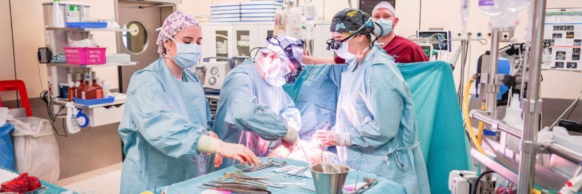 Wrocławski szpital ogólnopolskim liderem transplantacji serca. W 2025 roku wykonano aż 50 przeszczepów