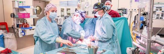 Wrocławski szpital ogólnopolskim liderem transplantacji serca. W 2025 roku wykonano aż 50 przeszczepów
