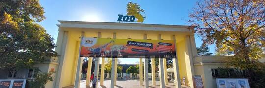 Wrocławskie ZOO walczy z kolejkami. Kupno biletu online pozwoli zaoszczędzić nawet 30 zł od osoby
