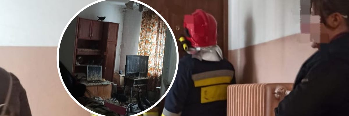 Wrocławianka zrobiła z mieszkania gołębnik. Ptaki załatwiały się na meble i telewizor [ZDJĘCIA]