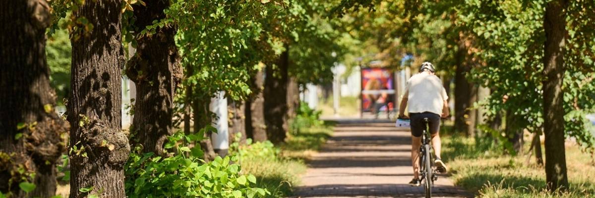 Wrocławianie na rowery! Będą nagrody dla dojeżdżających do pracy i szkoły jednośladem