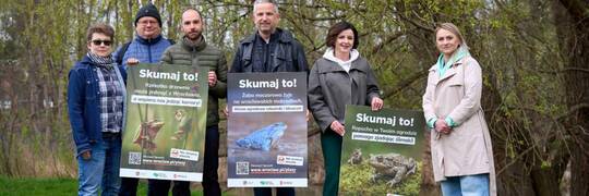 Żaby robią dobrą robotę! Wrocławscy przyrodnicy apelują: Skumaj to!