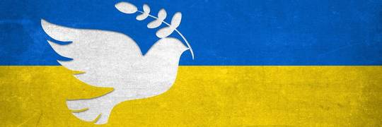 Статус тимчасового захисту та статус біженця